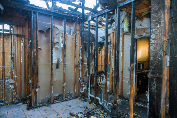 Professional Structural Rebuild technician working in Llano Grande, TX